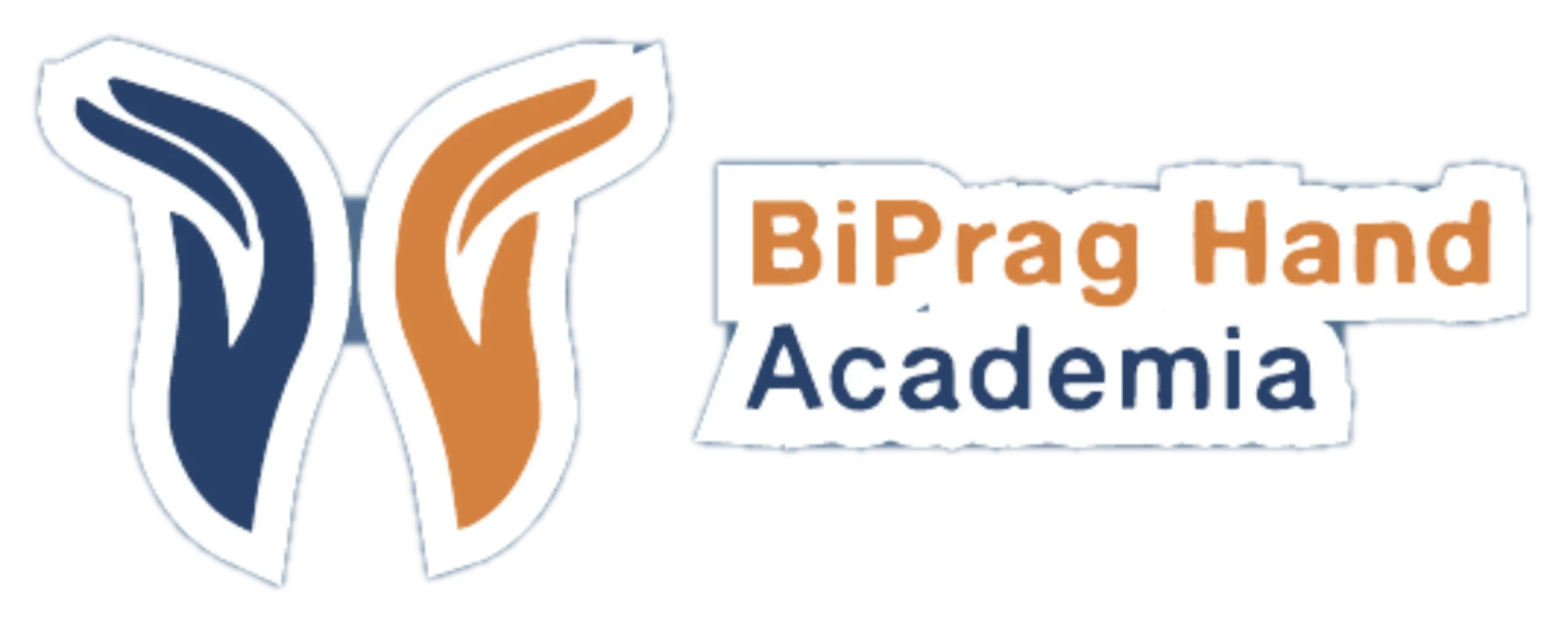 BiPrag Hand Academia